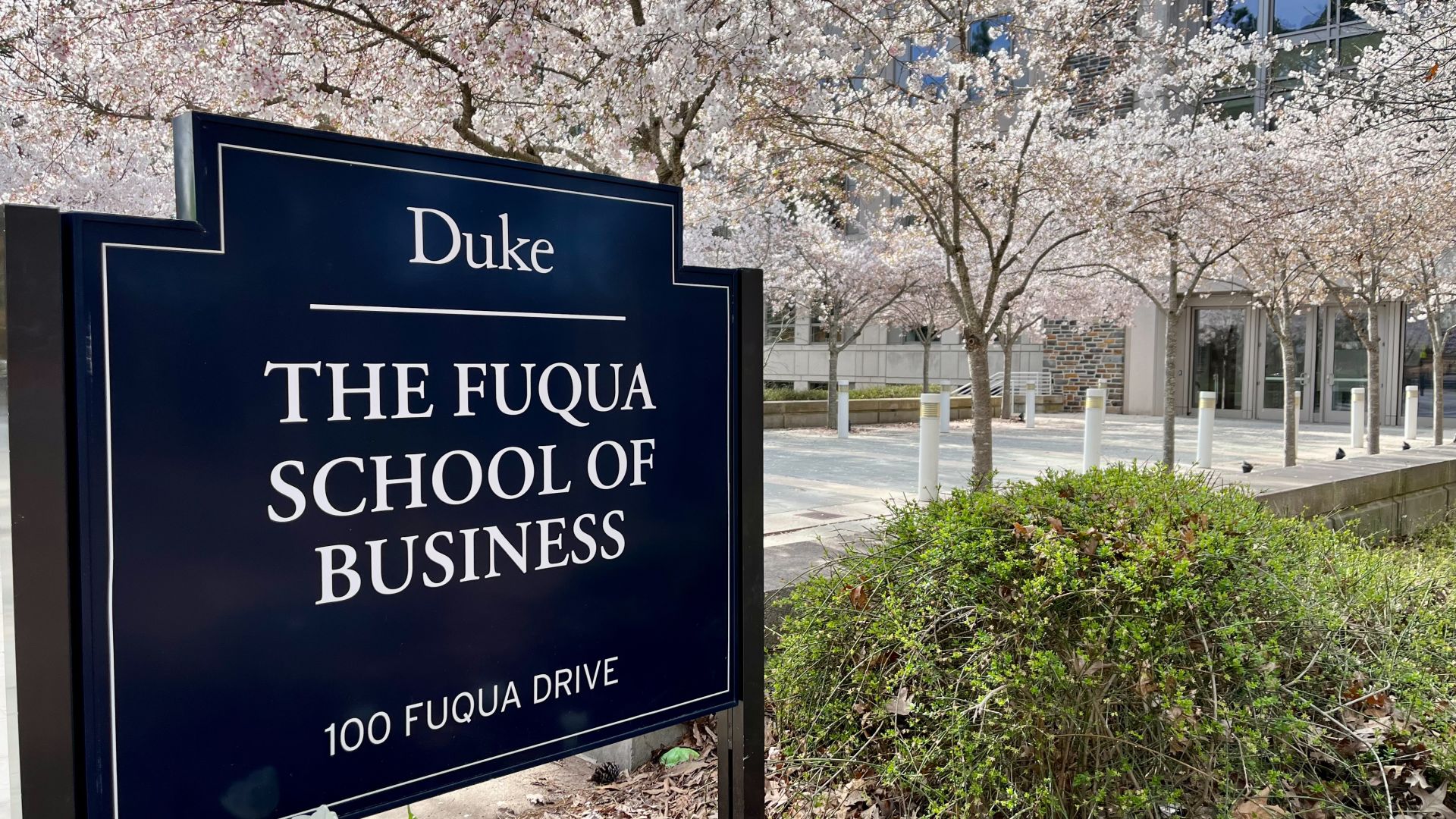 Duke Fuqua MBA Deadlines &amp; Application Tips 2027�28